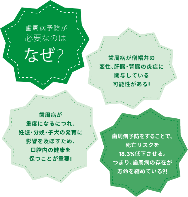 歯周病予防が必要なのはなぜ？