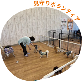 見守りボランティア