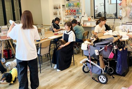 アニフェア里親会開催レポート in 大阪シェルター