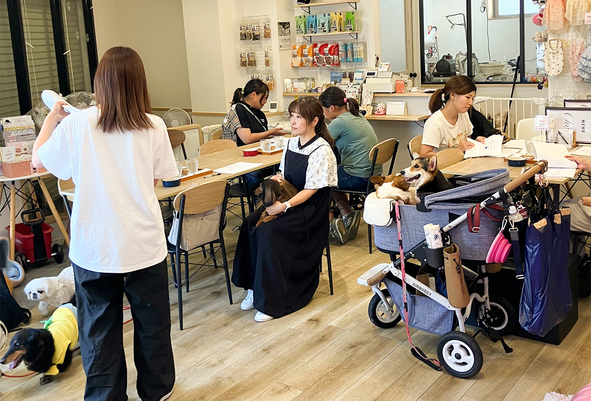 アニフェア里親会開催レポート in 大阪シェルター