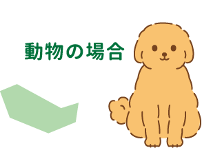 動物の場合