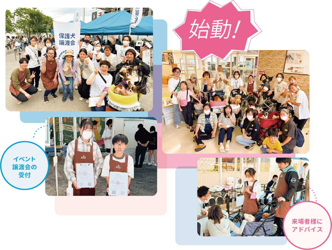 イベント譲渡会の受付・来場者様にアドバイス