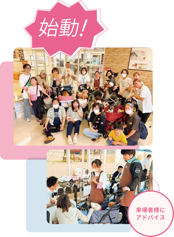 来場者様にアドバイス