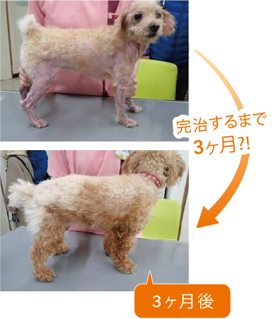 完治するまで 3ヶ月?!