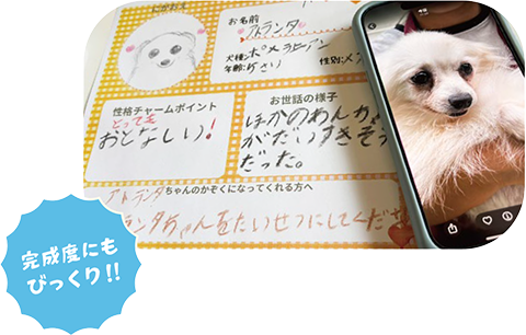 完成度にもびっくり！！