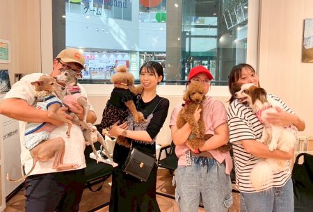 アニフェア里帰り会開催レポート in お台場シェルター