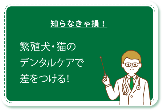 知らなきゃ損！繁殖犬・猫のデンタルケアで差をつける！