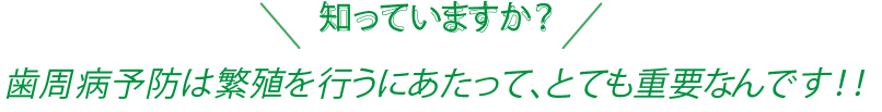 知っていますか？歯周病予防は繁殖を行うにあたって、とても重要なんです！