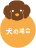 犬の場合