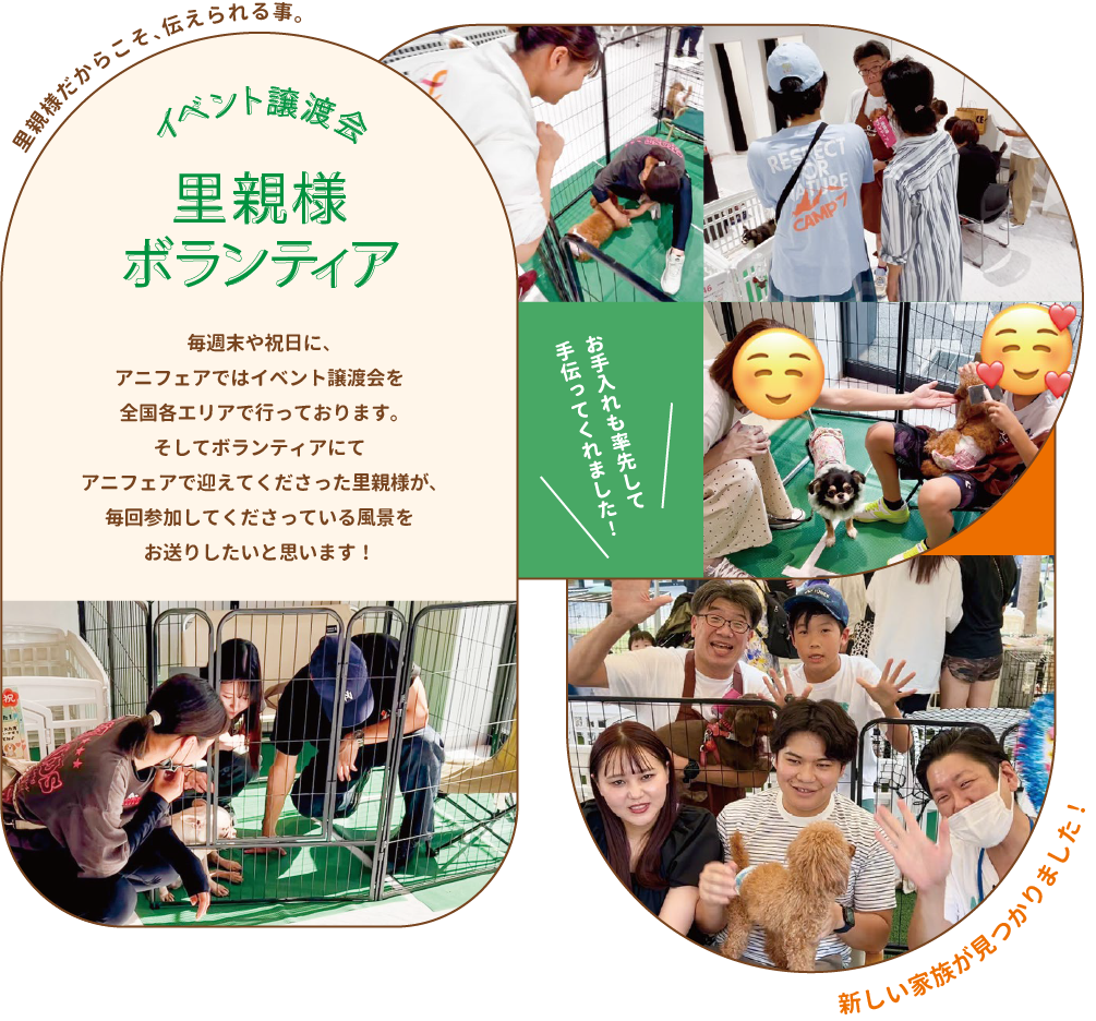 イベント譲渡会　里親様ボランティア