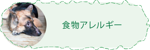 食物アレルギー