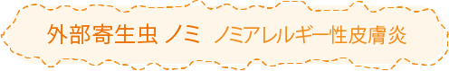 外部寄生虫ノミ　ノミアレルギー性皮膚炎
