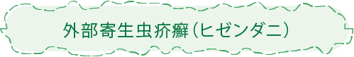 外部寄生虫疥癬（ヒゼンダニ）
