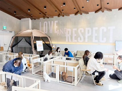 商業施設に保護犬シェルター – マークイズ福岡ももちに保護犬シェルター「保護犬 shelter anifare」を開設