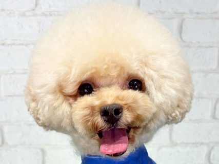 111570