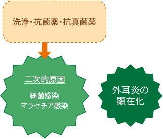 【基礎疾患の治療】洗浄・抗菌薬・抗真菌薬　【二次的原因】細菌感染・マラセチア感染　外耳炎の顕在化