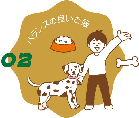 02 バランスの良いご飯