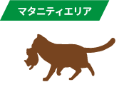 マタニティエリア