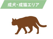 成犬・ 成猫エリア