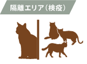 隔離エリア （検疫）