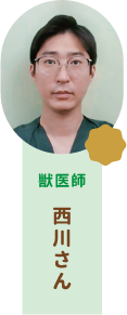 獣医師 西川さん