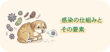 感染の仕組みとその要素