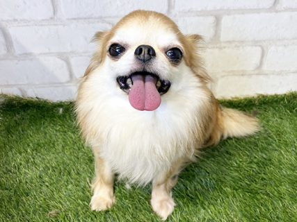 102034
