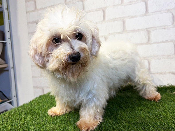 Slide Image