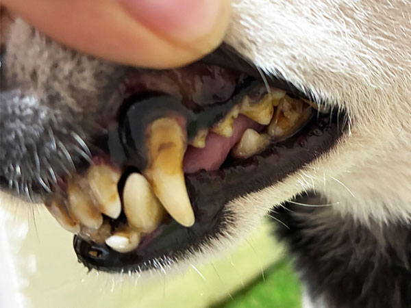 Slide Image