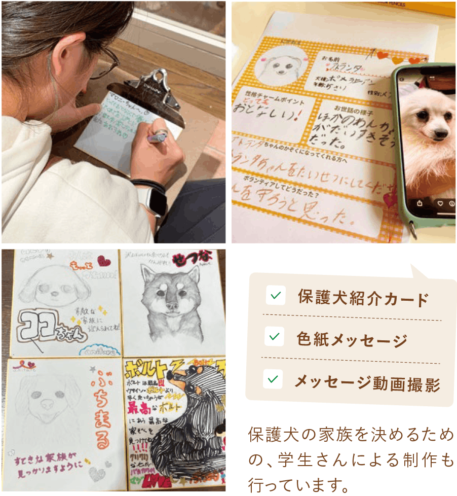 保護犬紹介カード・色紙メッセージ・メッセージ動画撮影　保護犬の家族を決めるための、学生さんによる制作も行なっています。