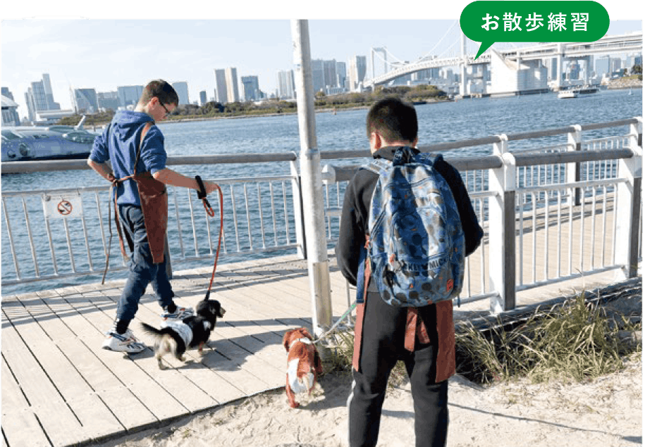 お散歩練習