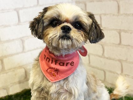 102134