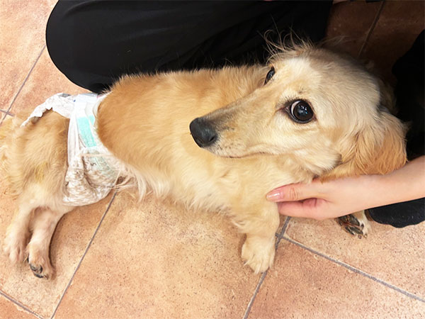 Slide Image
