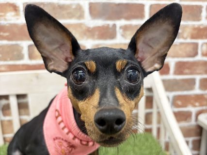121360