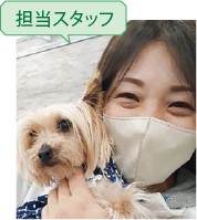 担当スタッフ