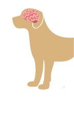 ストレス
