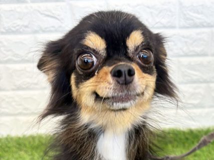 132415