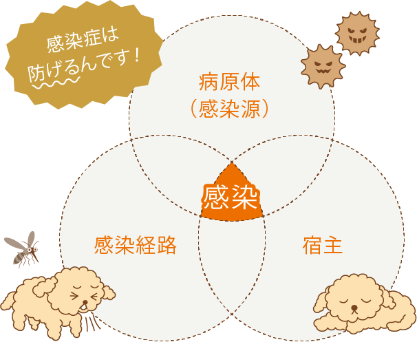 感染症は防げるんです！