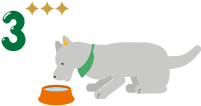 食後にお皿でお水を飲ませる