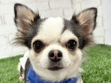 112049