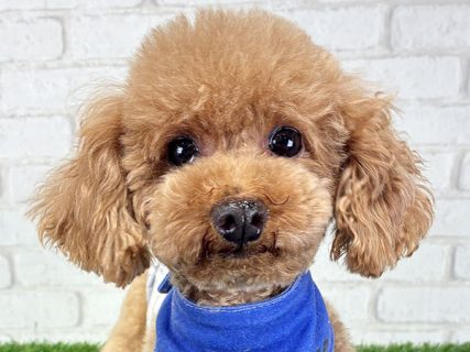 112055