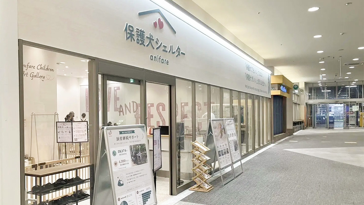 保護犬シェルターanifare 大阪イオンモール大日