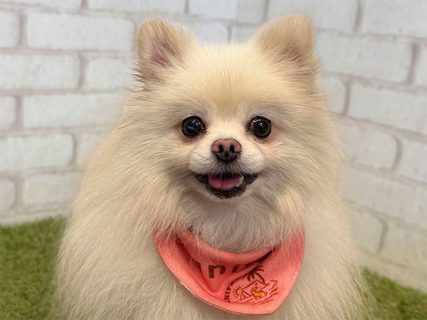 102427