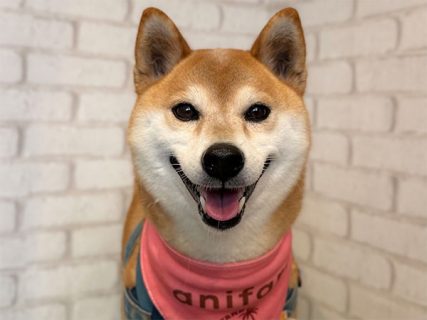 102479