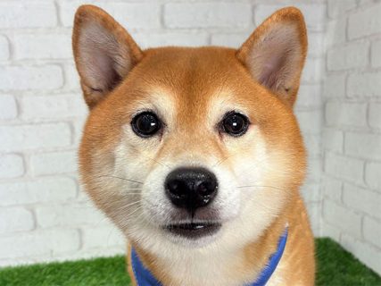 112070