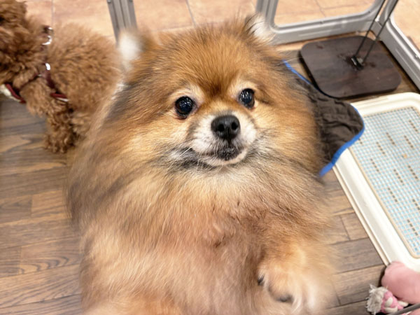 Slide Image