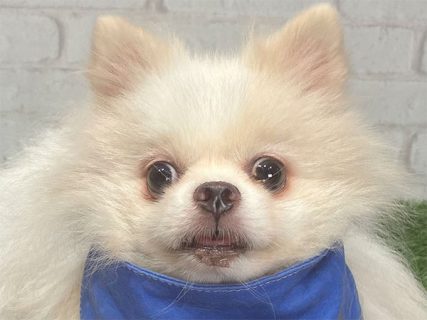 112123