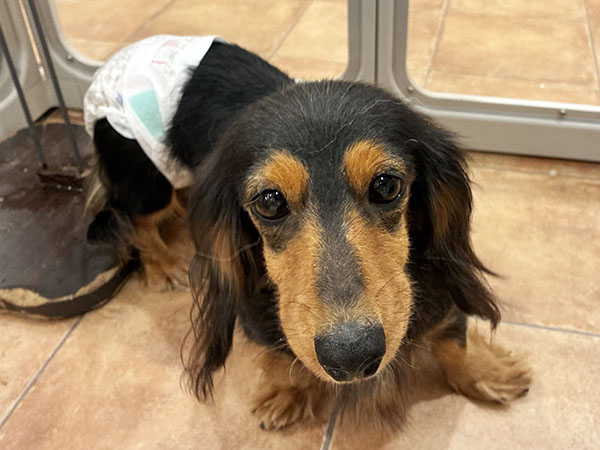 Slide Image