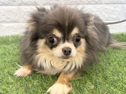 140327