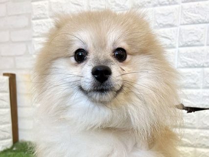 140344